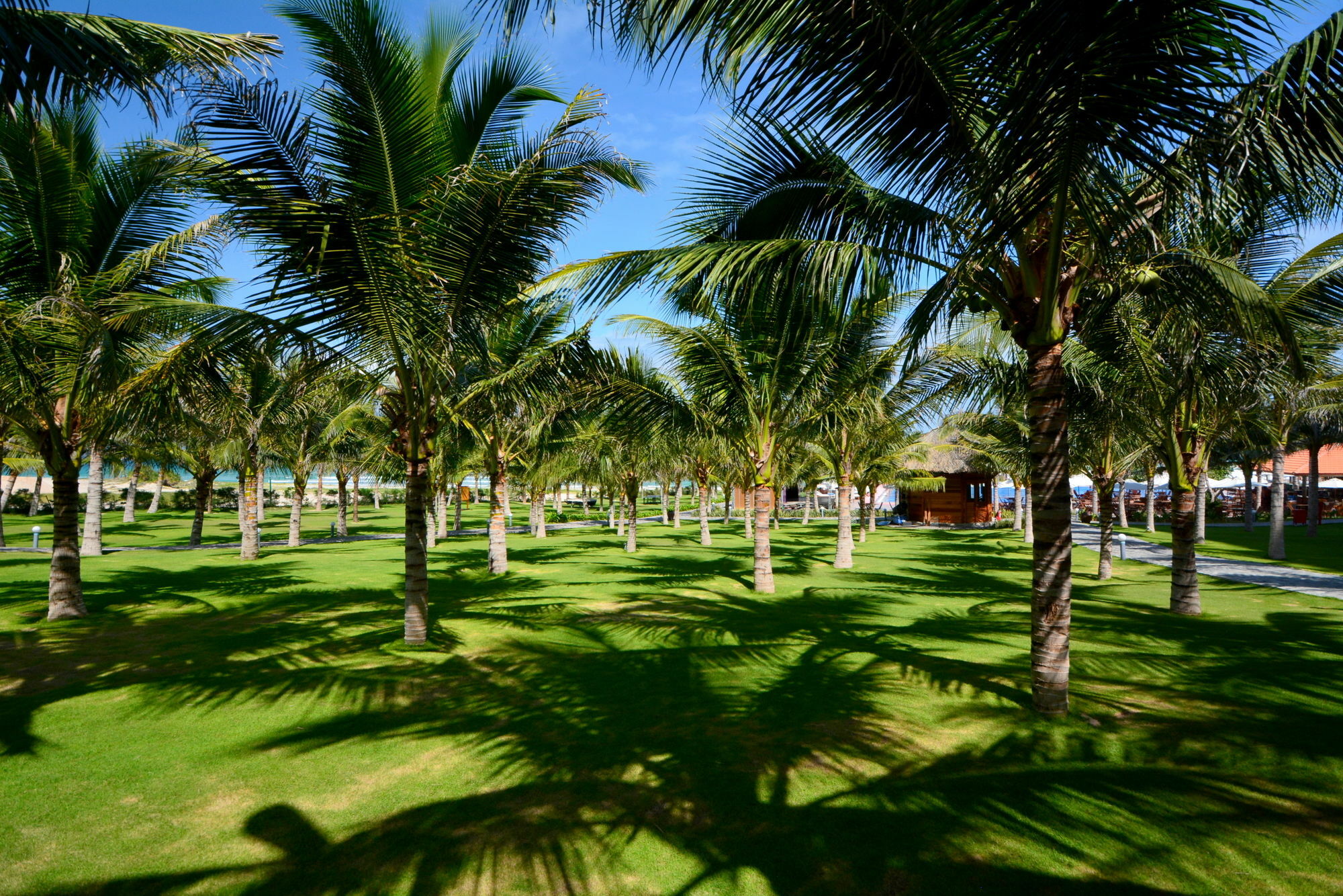 Dessole Beach Resort Nha Trang Mieu Ong Exterior foto